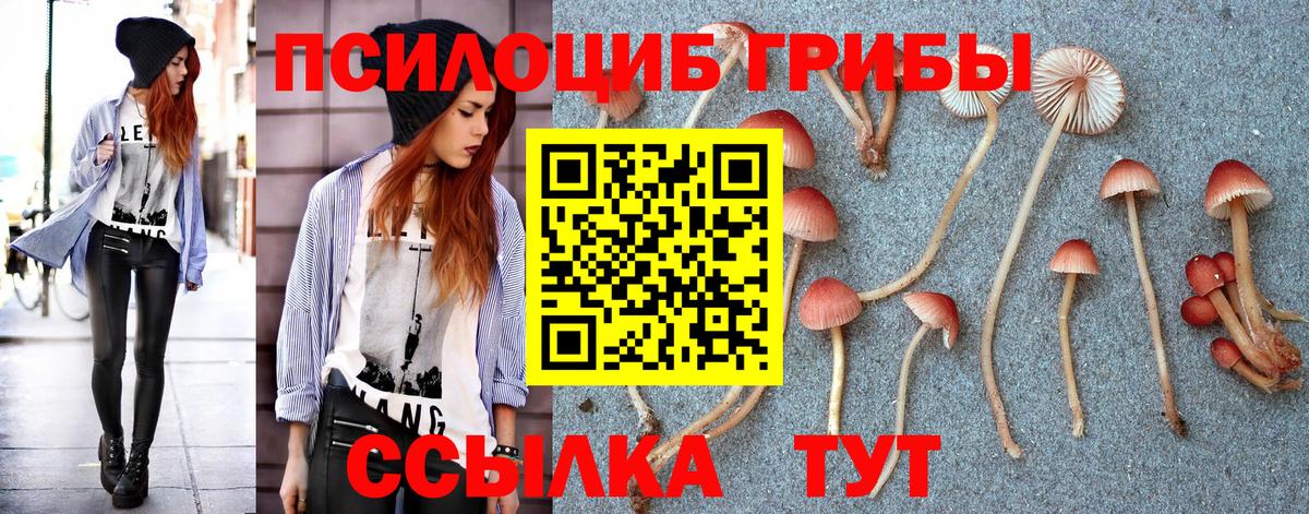 Псилоцибиновые грибы мицелий Реутов