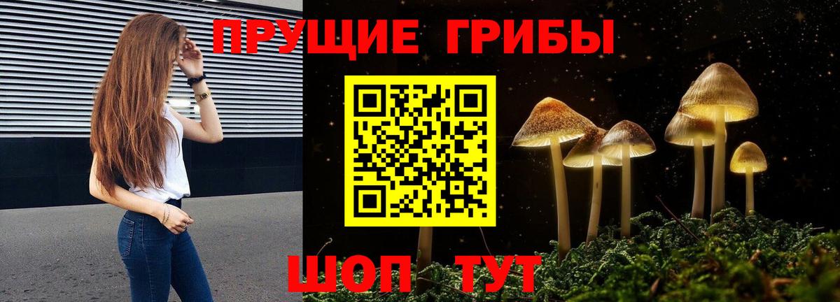 Псилоцибиновые грибы MAGIC MUSHROOMS  дарнет шоп  Реутов  Вход с VPN  Псилоцибиновые грибы Cubensis 